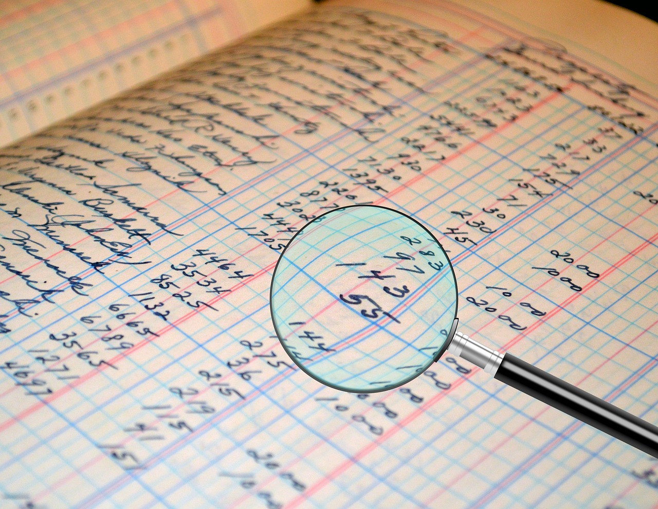 Professional Audit Services